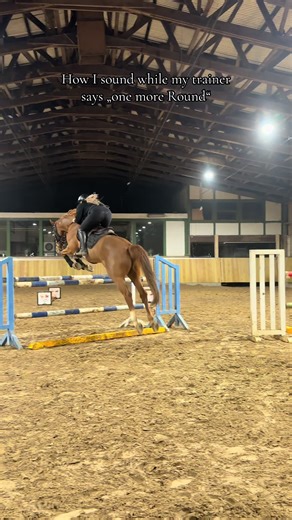 Und das dann am besten beim dritten Pferd 🥲 #equestrianlife #horsegirl #springreiten #showjumpinglife #fyp