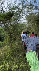 Ya encontraron el TORO PERDIDO | Callejeando Mx