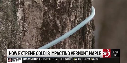 How extreme cold impacts Vermont maple tapping