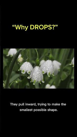 The Secret Force Inside Water!