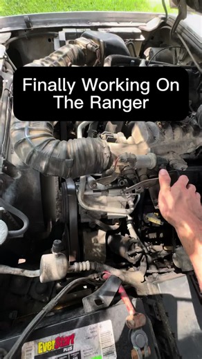 Rat Hunting in a Car: Ford Mechanic Tips for Removing Rodents