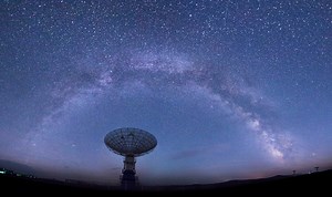 Space identity, skilled work and the professions