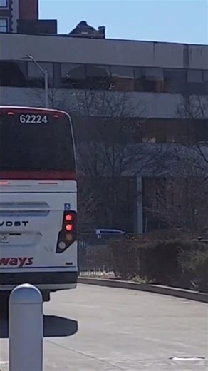 trailways bus 62224 meme #trailways