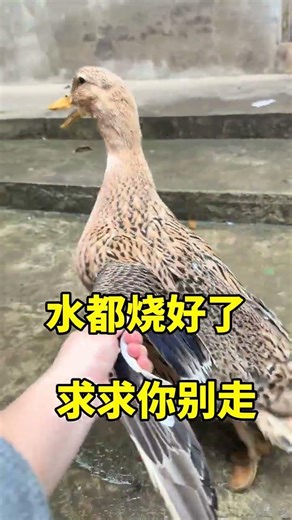 Extreme Pranks! Watch These Hilarious Fails in Action