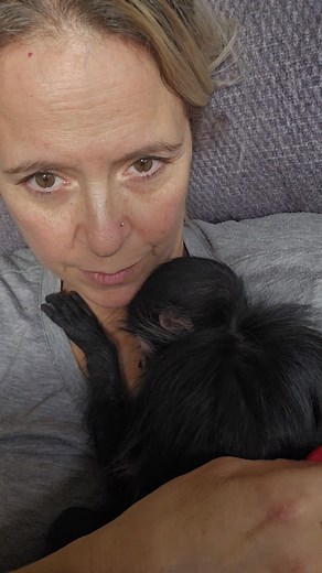 My snuggle bug taking a nap on mama 💙🐒 | Monkey Tales