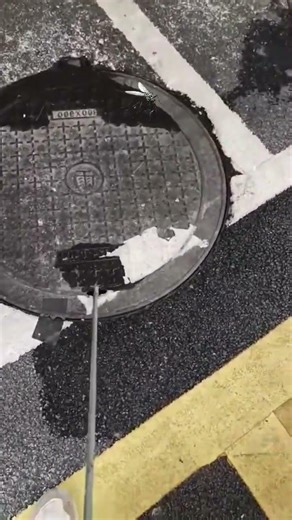 Mosquito Control Science: Why Europe Sprays Inside Drains Instead of Streets | Smart Fogging
