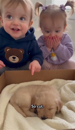 🐶 Can We KEEP the Puppy?! Their Answer Is Too Cute! ❤️😂#shorts