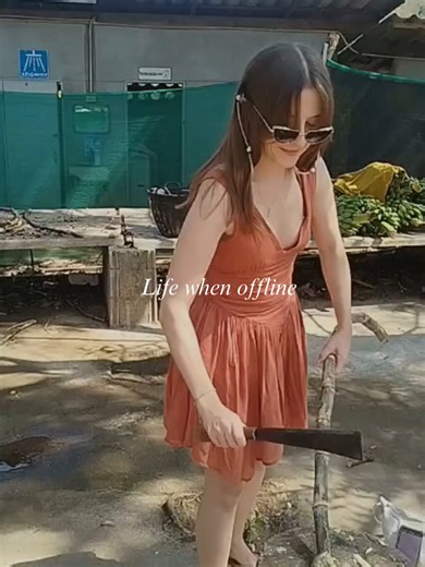 Step away from the noise of everyday life and experience life offline at Elephant Freedom Project in Chiang Mai, Thailand 🇹🇭. Nestled in the peaceful mountains of Northern Thailand, Elephant Freedom Project is an ethical elephant sanctuary where nature, compassion, and simplicity come together. Here, visitors can disconnect from technology and reconnect with the natural world while spending time with these incredible animals. At the sanctuary, elephants live freely in a natural forest environm