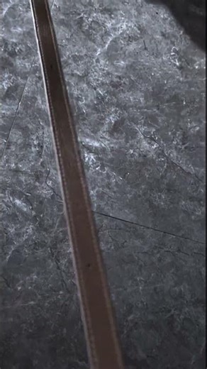 Discover the Unusual: Unveiling the Intriguing