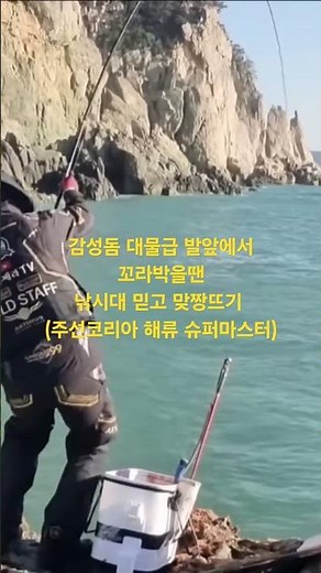 감성돔 대물급 발앞에서 꼬라박을땐 낚시대 믿고 맞짱뜨기 (주선코리아 해류 슈퍼마스터)