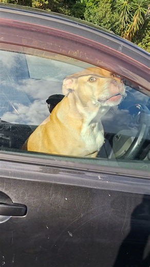 Hello driver.