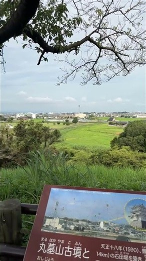 1.久々のご無沙汰ライブのち🚀 #失敗小僧 #ひょーひょー