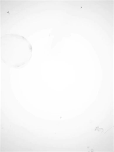 Happy birthday to you Dear sister 🎉 wish you many happy returns of the day god bless you 🌷💌 always the birthday caption is endless😘🥰 want to your wish happy life always keep smiling with your face ✨👀and gread successful person all wish special you once again happy birthday to you pyari dd🥳🎉🌹#hapinesss❤ #happybirthday🌹 @pratimathapa401