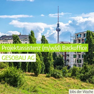 Projektassistenz im Backoffice, Teamleiter Digitale Redaktion, Fremdsprachensekretär (m/w/d) und mehr gesucht! Hier findet ihr aktuelle Jobangebote im Raum Berlin-Brandenburg. Jetzt bewerben! 👉 https://talent.berlin/magazin/jobs-der-woche | Talent Berlin