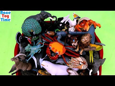 Huge Realistic Land & Sea Creatures Animal Figurines Collection - Up Close!