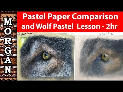 Pastel Lesson - Best Pastel Paper and Draw a Wolf Lesson - Jason Morgan art