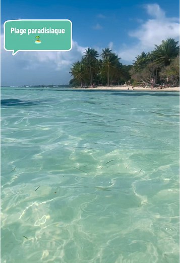 Plage paradisiaque du Bois Jolan qui se situe à Sainte Anne 📌 en Guadeloupe 🇬🇵 #CapCut #trend #fyp #guadeloupe #pourtoi #Antilles #travel #vlog #TrendMomentos #voyage #paradise #plage