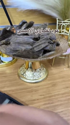 #0608193848 #عود_قماري #شعب_الصيني_ماله_حل😂😂😂😂🤦