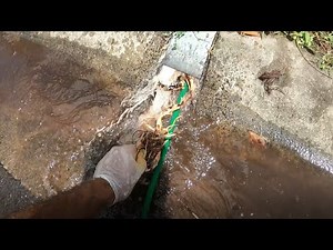 Blocked Drain 202 - DESTROYING Palm Tree Roots. YEAH!!!