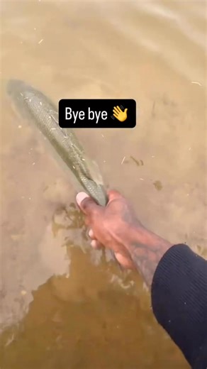 🔥First Fish On My New Spook💪🏾🎣#bassfishing #blessed #trendingreel #shiestyangler | Shiestyricofishing