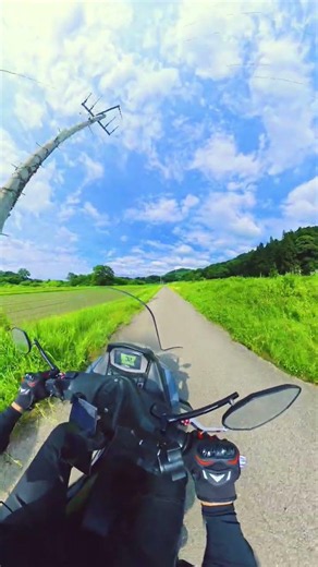 思わず深呼吸したくなる、塩尻市洗馬の景色#塩尻市 #洗馬 #信州 #長野県 #田園風景 #ツーリング #NMAX #絶景 #バイク #YouTubeショート