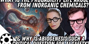 Abiogenesis: What Is the Probability Life Arose from Inorganic Chemicals?