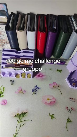 scelgo me challenge gruppo#cashstuffingmethod #cashstuffingsystem #fyp #cashstuffingitalia #neiperte