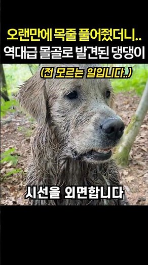 "3 hours just for a bath.." Let them off the leash for the first time in a while.. Found my dog l...