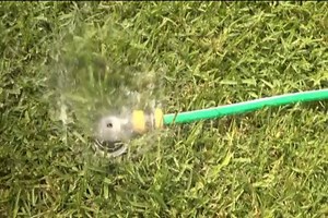 1.2K views | Level 1 water restrictions in force for Tamworth, Moonbi and Kootingal but residents are still being urged to conserve every drop. | 7NEWS New England | Facebook