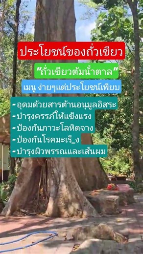 ประโยชน์ของถั่วเขียว มีมากกว่าที่คิด#ข้อคิดดีๆ #สาระน่ารู้#shorts 19/3/69