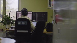 We're celebrating the extraordinary women who work in our Queensland National Parks (QPWS) as Wildlife Officers 👏 Like Carli here, many of our staff work tirelessly to protect and conserve our state's unique and precious native animals 🐾. Their wide range of expertise includes undertaking wildlife conservation compliance activities, contributing to applied research initiatives to help develop new and innovative wildlife management strategies and providing public education on protecting our wil