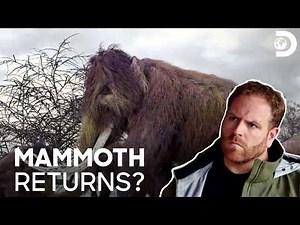 Scientists Want To Clone A Woolly Mammoth! | Expedition Unknown S3 E5 | Discovery Channel India