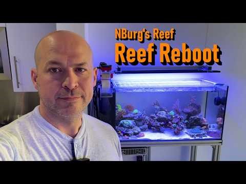 Fiji Cube 38g All In One Reef Tank Reboot!