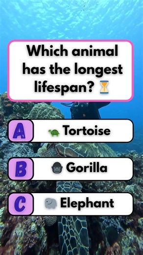 #puzzle #fun #brainteaser #quiz | Brain Bash