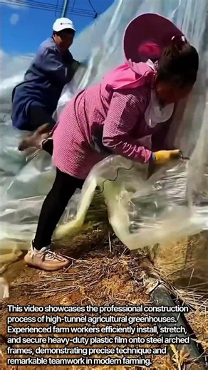 How to Install Greenhouse Plastic Film #worker #process #farming #greenhouse #diy
