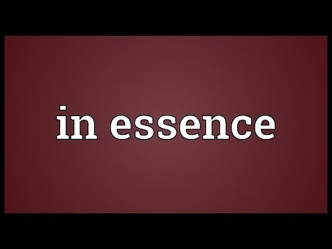 In essence Meaning