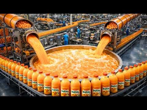Dentro De Una Fábrica De Jugo De naranja | ¿Cómo Lo Hacen?