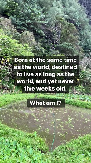 9.4K views · 25 reactions | Confusing…樂 | Coed Comedy Team | Facebook