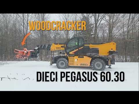 Thomson Tree Service Dieci with WoodCracker