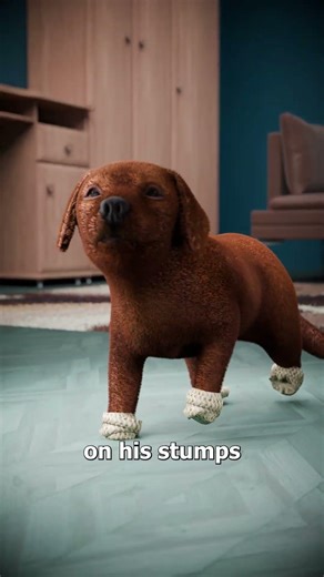 The Puppy Who Got Four Bionic Legs 😮
