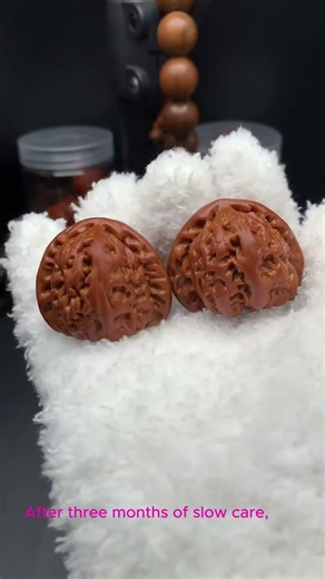 Brushing Walnuts Every Day For 3 Months Insane Transformation