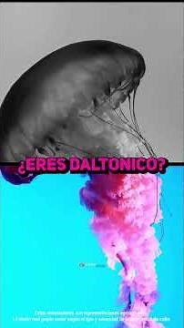 👁️ This is how people with color blindness see the world (+ test at the end)