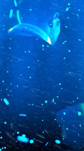 The 2026 Winter Tour is ON SALE NOW! Can’t wait to see you all there! Final cities and lineups coming soon.. ❄️ | Excision