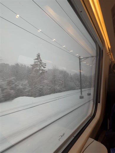 ♡ Fee Zoé Sophie ♡ on Instagram: "Weekendtrip to Zürich, Switzerland 🧸🎄🧦"