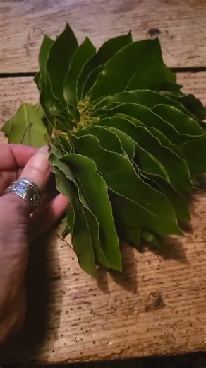 Bay leaf wreath #christmas #homedecor