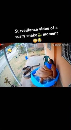 Surveillance video of a scary snake🐍 moment😳😭 #scary #scarystories #snake