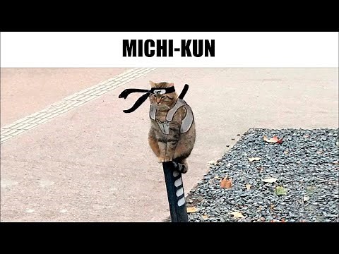 1 HORA DE MEMES RANDOM #300