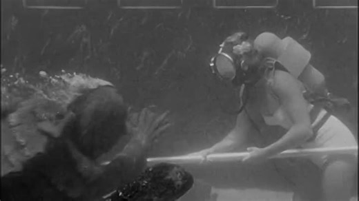Revenge of the Creature (1955)