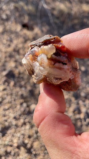 4.5K views · 4.2K reactions | One of the craziest pieces I found. Rose chalcedony mixed with fire agate. 朗 Found at Saddle Mountain in Arizona. Wild find! #rosechalcedony #fireagate #saddlemountain #agate #az #crystals | Chris Sims | Facebook