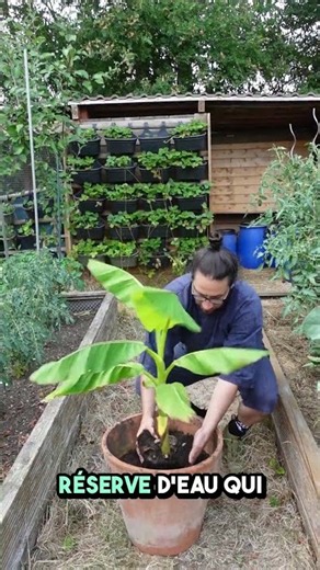 💧 Garden hack: A hidden water reservoir inside your pot! 😱